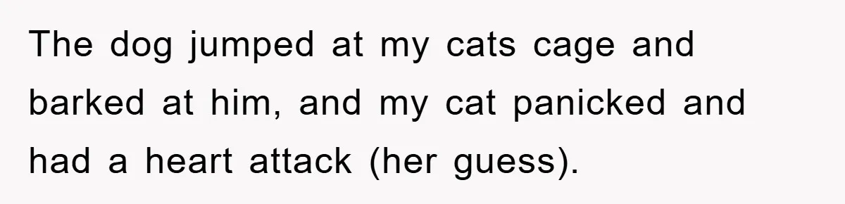 Man Refuses To Rehome His Cat, Allergic Pregnant Wife Contributes To The Pet's Death, Causing Grief The dog jumped at my cats cage and barked at him, and my cat panicked and had a heart attack (her guess).