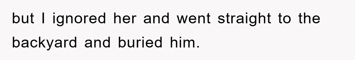 Man Refuses To Rehome His Cat, Allergic Pregnant Wife Contributes To The Pet's Death, Causing Grief but I ignored her and went straight to the backyard and buried him.
