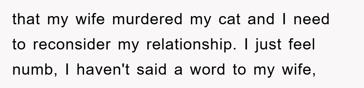 Man Refuses To Rehome His Cat, Allergic Pregnant Wife Contributes To The Pet's Death, Causing Grief that my wife murdered my cat and I need to reconsider my relationship. I just feel numb, I haven't said a word to my wife,
