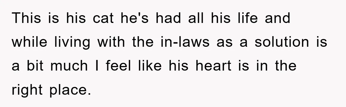 Man Refuses To Rehome His Cat, Allergic Pregnant Wife Contributes To The Pet's Death, Causing Grief This is his cat he's had all his life and while living with the in-laws as a solution is a bit much I feel like his heart is in the...
