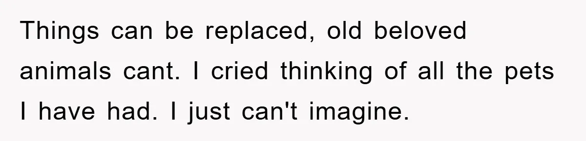 Man Refuses To Rehome His Cat, Allergic Pregnant Wife Contributes To The Pet's Death, Causing Grief Things can be replaced, old beloved animals cant. I cried thinking of all the pets I have had. I just can't imagine.