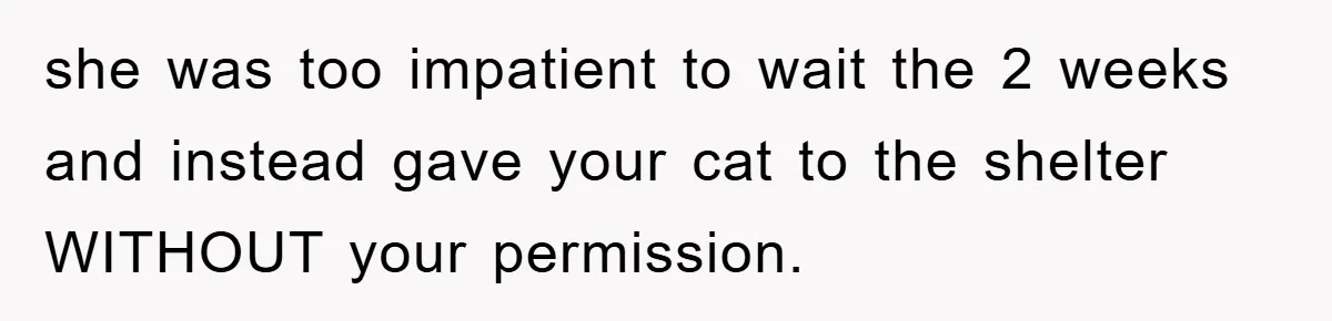 Man Refuses To Rehome His Cat, Allergic Pregnant Wife Contributes To The Pet's Death, Causing Grief she was too impatient to wait the 2 weeks and instead gave your cat to the shelter WITHOUT your permission.