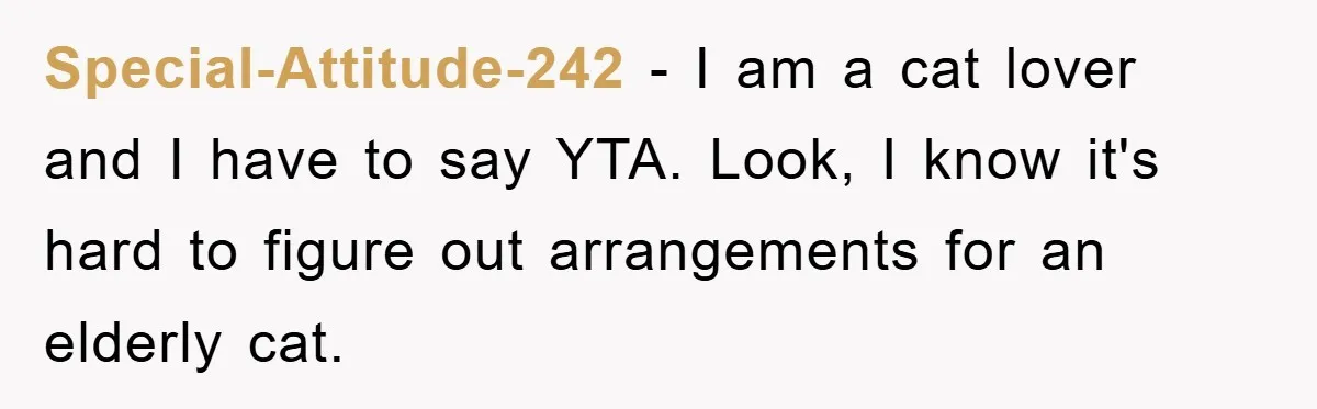 Man Refuses To Rehome His Cat, Allergic Pregnant Wife Contributes To The Pet's Death, Causing Grief Special-Attitude-242 − I am a cat lover and I have to say YTA. Look, I know it's hard to figure out arrangements for an elderly cat.
