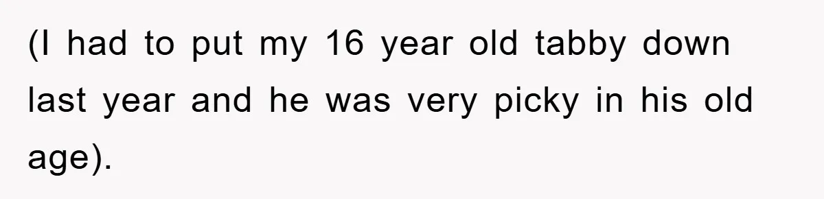 Man Refuses To Rehome His Cat, Allergic Pregnant Wife Contributes To The Pet's Death, Causing Grief (I had to put my 16 year old tabby down last year and he was very picky in his old age).