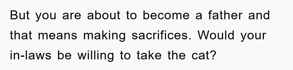 Man Refuses To Rehome His Cat, Allergic Pregnant Wife Contributes To The Pet's Death, Causing Grief But you are about to become a father and that means making sacrifices. Would your in-laws be willing to take the cat?