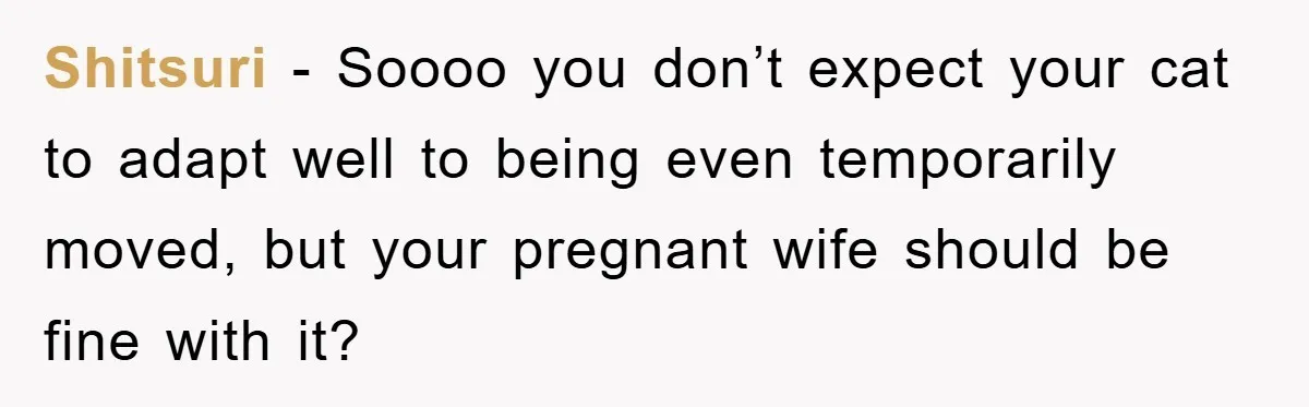 Man Refuses To Rehome His Cat, Allergic Pregnant Wife Contributes To The Pet's Death, Causing Grief Shitsuri − Soooo you don’t expect your cat to adapt well to being even temporarily moved, but your pregnant wife should be fine with it?