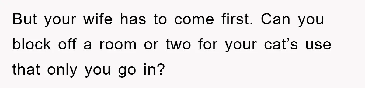 Man Refuses To Rehome His Cat, Allergic Pregnant Wife Contributes To The Pet's Death, Causing Grief But your wife has to come first. Can you block off a room or two for your cat’s use that only you go in?