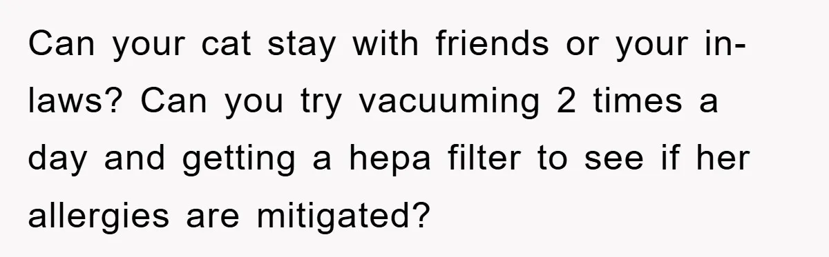 Man Refuses To Rehome His Cat, Allergic Pregnant Wife Contributes To The Pet's Death, Causing Grief Can your cat stay with friends or your in-laws? Can you try vacuuming 2 times a day and getting a hepa filter to see if her allergies are mitigated?