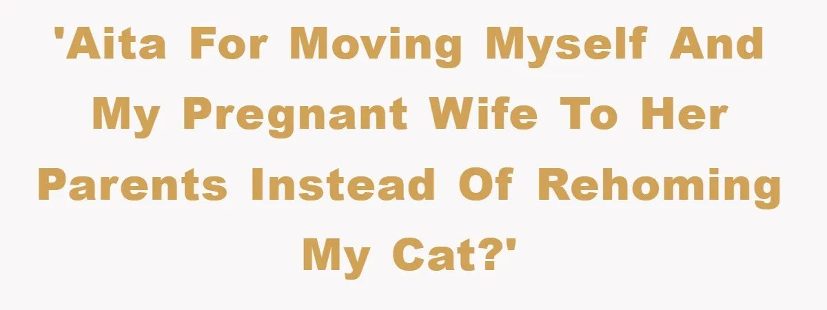 Man Refuses To Rehome His Cat, Allergic Pregnant Wife Contributes To The Pet's Death, Causing Grief 'AITA for moving myself and my pregnant wife to her parents instead of rehoming my cat?'