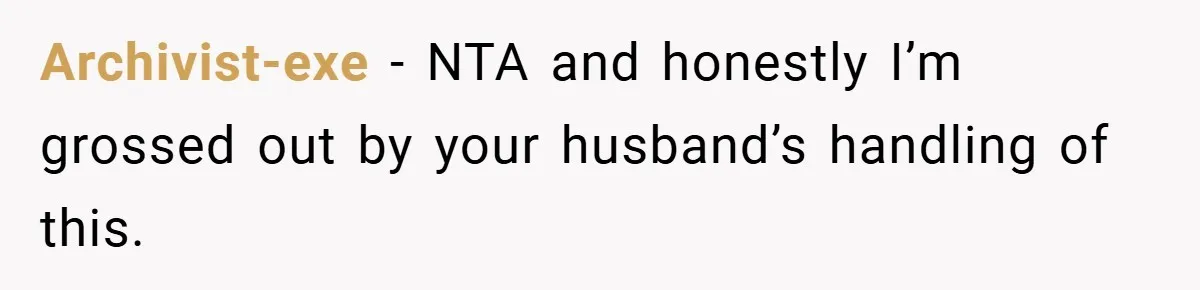 Archivist-exe − NTA and honestly I’m grossed out by your husband’s handling of this.