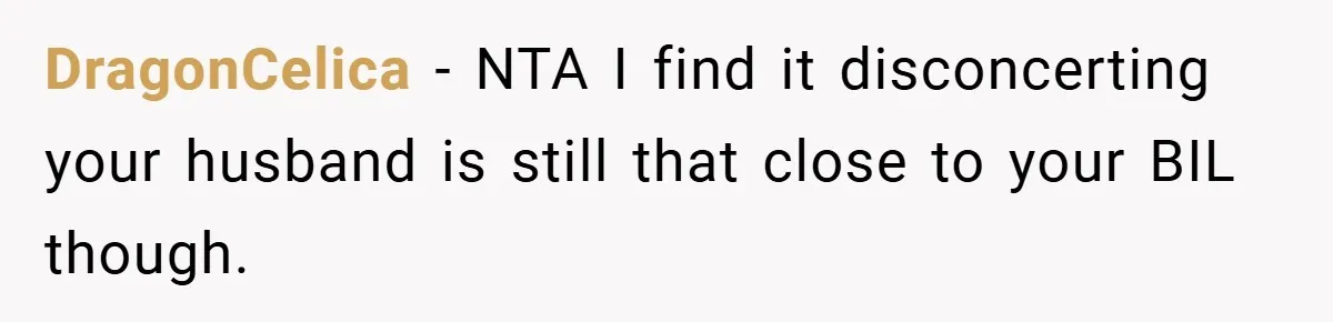 DragonCelica − NTA I find it disconcerting your husband is still that close to your BIL though.