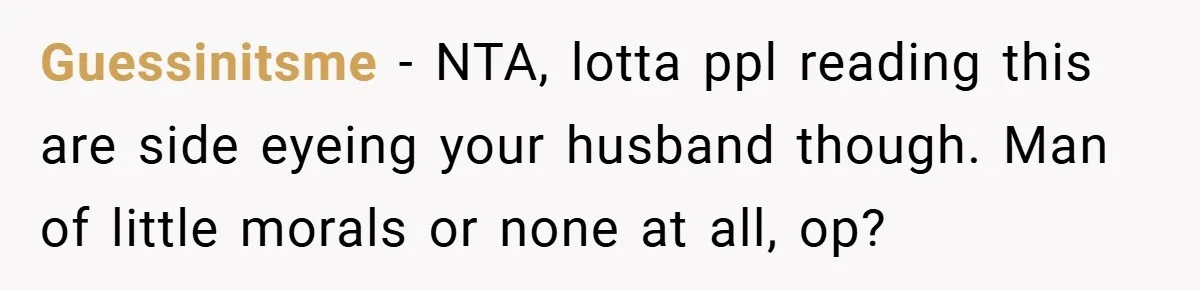 Guessinitsme − NTA, lotta ppl reading this are side eyeing your husband though. Man of little morals or none at all, op?