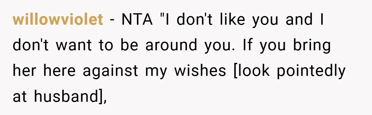 willowviolet − NTA "I don't like you and I don't want to be around you. If you bring her here against my wishes [look pointedly at husband],