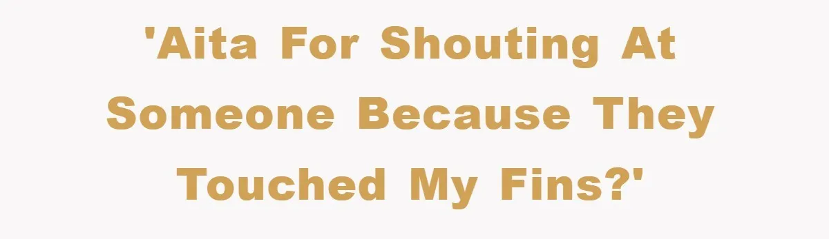 'AITA for shouting at someone because they touched my fins?'