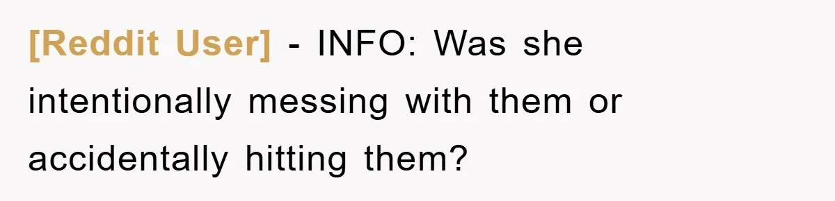 [Reddit User] − INFO: Was she intentionally messing with them or accidentally hitting them?