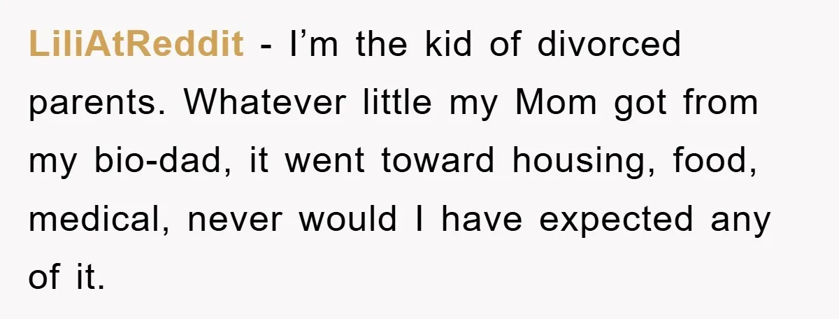 LiliAtReddit − I’m the kid of divorced parents. Whatever little my Mom got from my bio-dad, it went toward housing, food, medical, never would I have expected any of it.