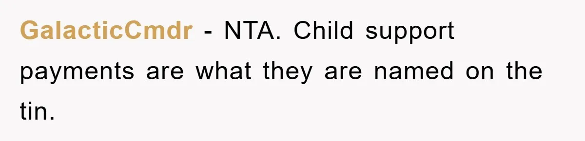 GalacticCmdr − NTA. Child support payments are what they are named on the tin.