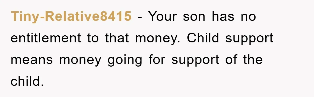Tiny-Relative8415 − Your son has no entitlement to that money. Child support means money going for support of the child.