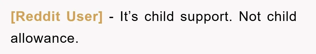 [Reddit User] − It’s child support. Not child allowance.