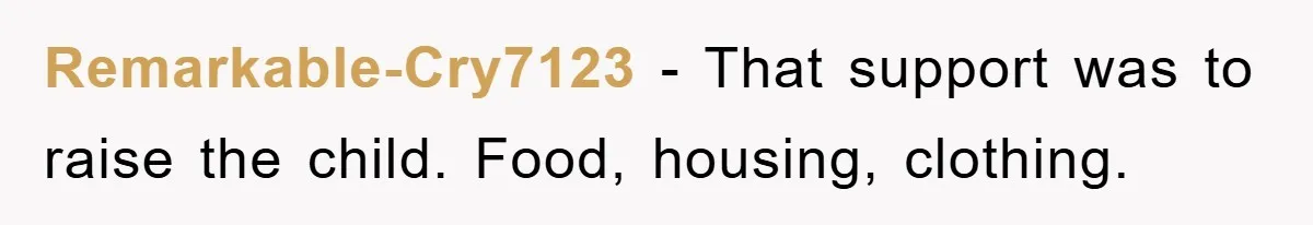 Remarkable-Cry7123 − That support was to raise the child. Food, housing, clothing.