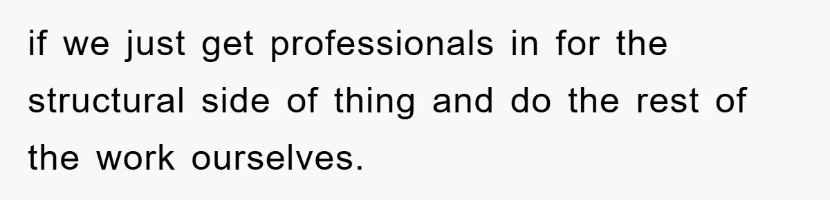 if we just get professionals in for the structural side of thing and do the rest of the work ourselves.