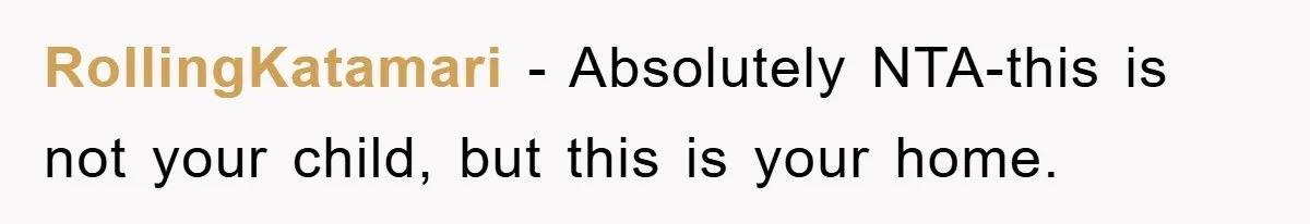RollingKatamari −  Absolutely NTA-this is not your child, but this is your home.
