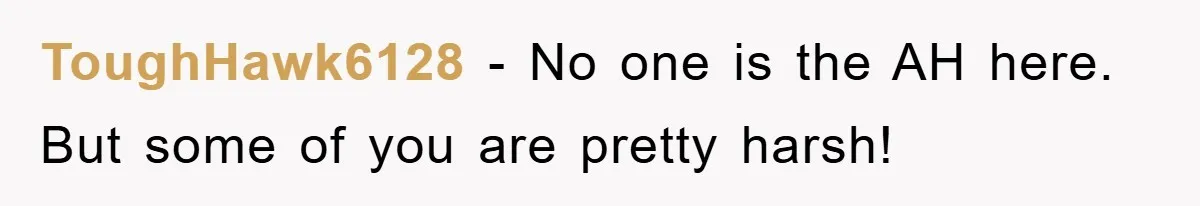 ToughHawk6128 − No one is the AH here. But some of you are pretty harsh!