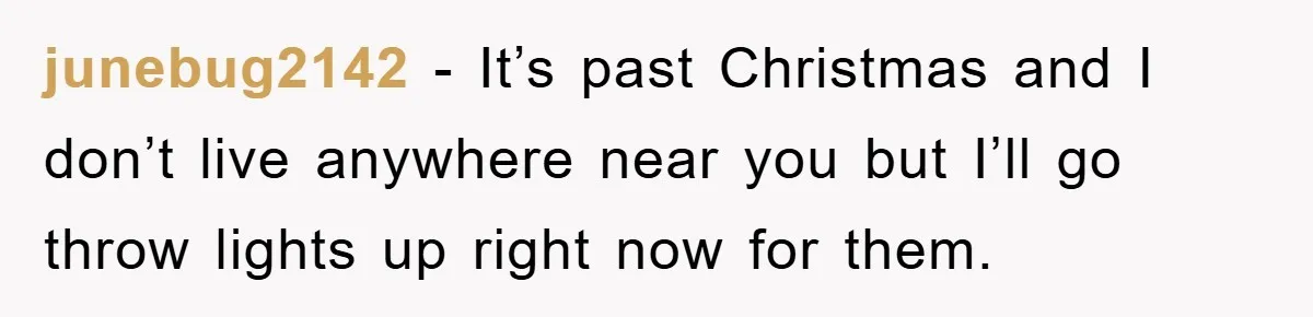 junebug2142 − It’s past Christmas and I don’t live anywhere near you but I’ll go throw lights up right now for them.