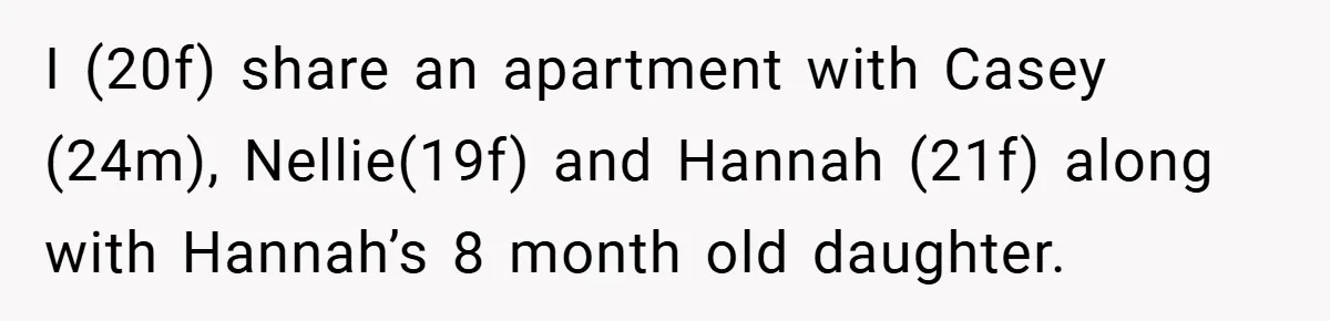 I (20f) share an apartment with Casey (24m), Nellie(19f) and Hannah (21f) along with Hannah’s 8 month old daughter.