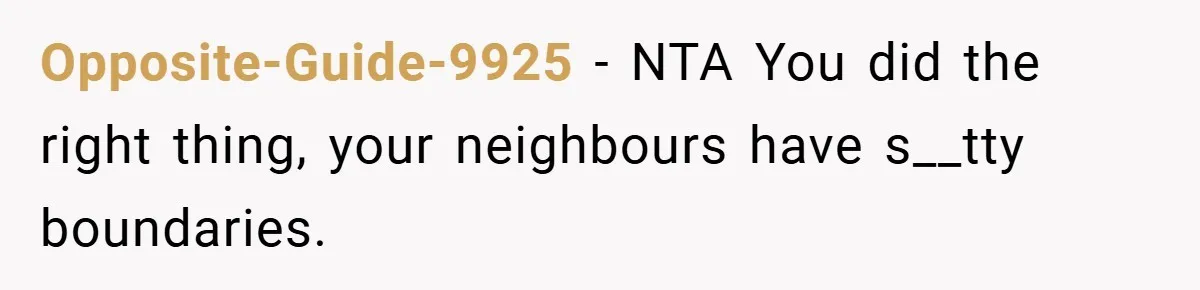 Opposite-Guide-9925 − NTA You did the right thing, your neighbours have s__tty boundaries.