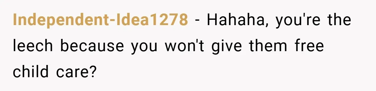 Independent-Idea1278 − Hahaha, you're the leech because you won't give them free child care?