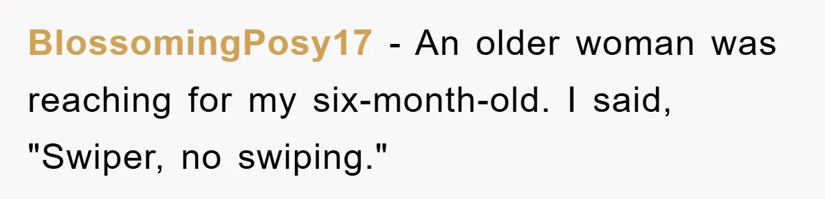 BlossomingPosy17 − An older woman was reaching for my six-month-old. I said, "Swiper, no swiping."