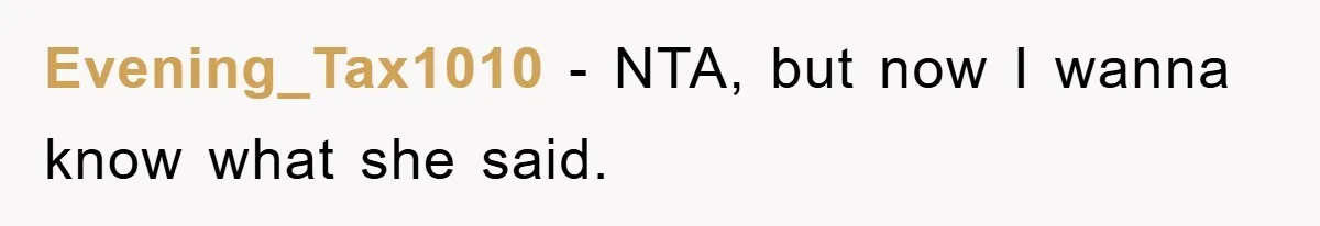 Evening_Tax1010 − NTA, but now I wanna know what she said.