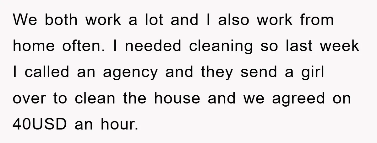 We both work a lot and I also work from home often. I needed cleaning so last week I called an agency and they send a girl over to clean...