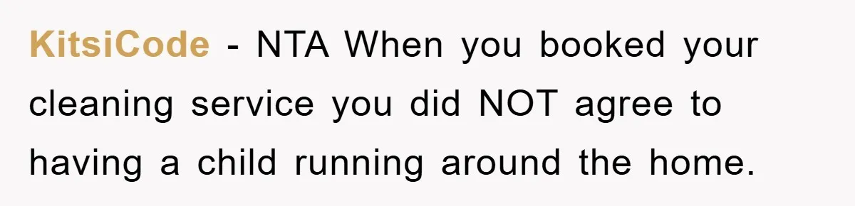 KitsiCode − NTA When you booked your cleaning service you did NOT agree to having a child running around the home.