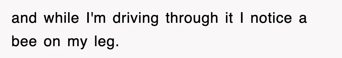 Rental Company Tries To Charge Extra Day, So He Made Sure They’d Remember The Pickup and while I'm driving through it I notice a bee on my leg.