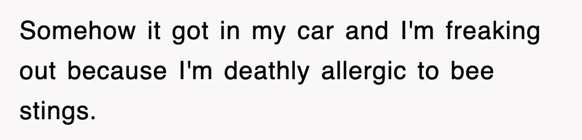 Rental Company Tries To Charge Extra Day, So He Made Sure They’d Remember The Pickup Somehow it got in my car and I'm freaking out because I'm deathly allergic to bee stings.