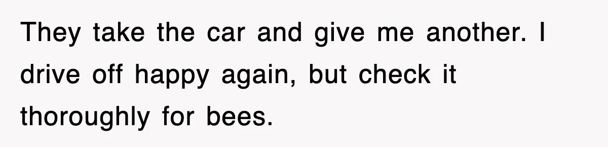 Rental Company Tries To Charge Extra Day, So He Made Sure They’d Remember The Pickup They take the car and give me another. I drive off happy again, but check it thoroughly for bees.