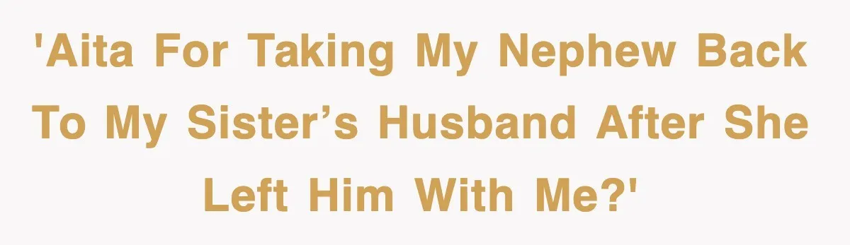 'AITA for taking my nephew back to my sister’s husband after she left him with me?'