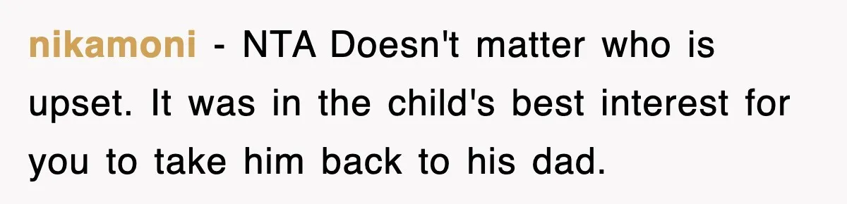 nikamoni − NTA Doesn't matter who is upset. It was in the child's best interest for you to take him back to his dad.