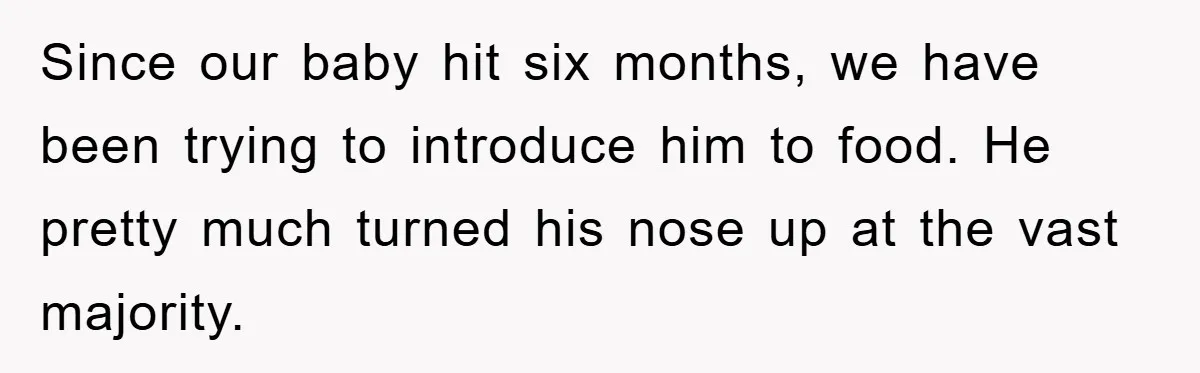 Since our baby hit six months, we have been trying to introduce him to food. He pretty much turned his nose up at the vast majority.
