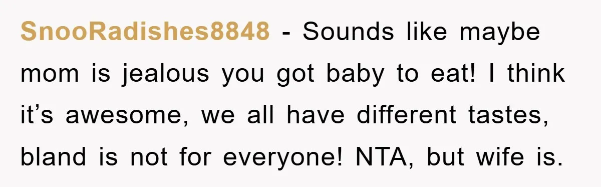 SnooRadishes8848 − Sounds like maybe mom is jealous you got baby to eat! I think it’s awesome, we all have different tastes, bland is not for everyone! NTA, but wife...
