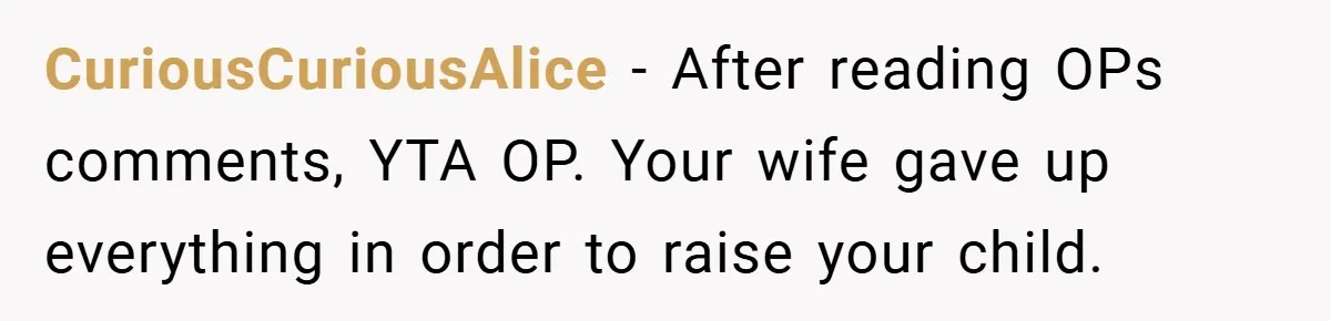 Husband’s Comment About ‘Doing His Wife’s Job Better’ Sparks Emotional Backlash CuriousCuriousAlice − After reading OPs comments, YTA OP. Your wife gave up everything in order to raise your child.