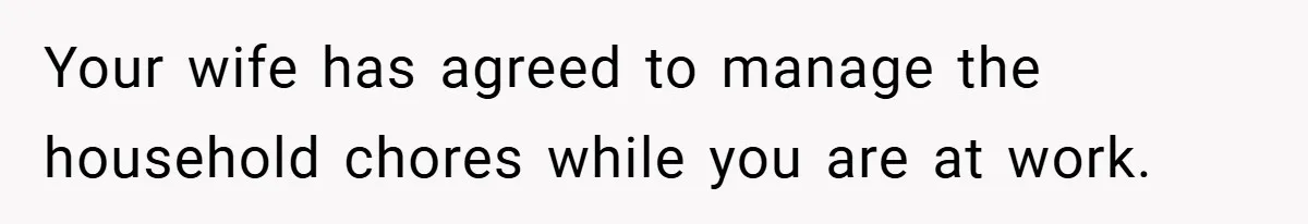 Husband’s Comment About ‘Doing His Wife’s Job Better’ Sparks Emotional Backlash Your wife has agreed to manage the household chores while you are at work.