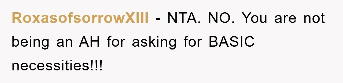 RoxasofsorrowXIII − NTA. NO. You are not being an AH for asking for BASIC necessities!!!