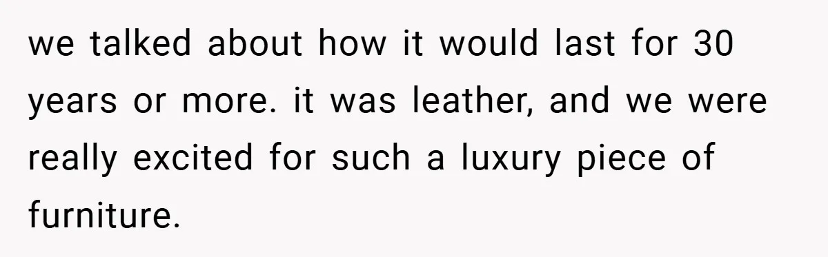 we talked about how it would last for 30 years or more. it was leather, and we were really excited for such a luxury piece of furniture.