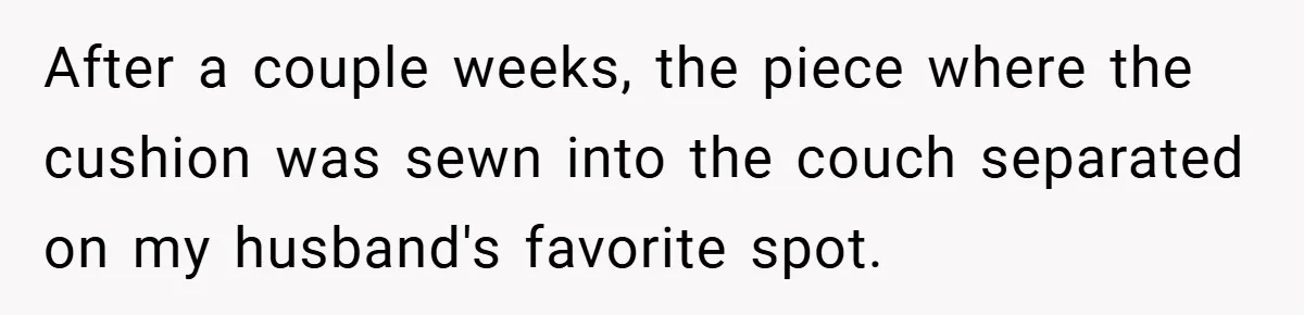 After a couple weeks, the piece where the cushion was sewn into the couch separated on my husband's favorite spot.