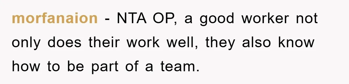 morfanaion − NTA OP, a good worker not only does their work well, they also know how to be part of a team.