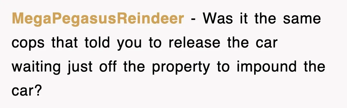 Mechanic Warns A Woman Not To Drive, She Laughs Then Loses Her Car Minutes Later MegaPegasusReindeer − Was it the same cops that told you to release the car waiting just off the property to impound the car?