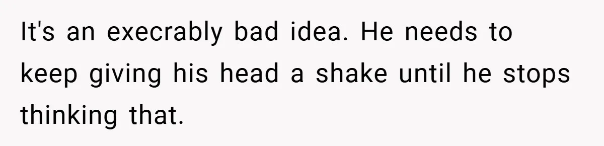 It's an execrably bad idea. He needs to keep giving his head a shake until he stops thinking that.